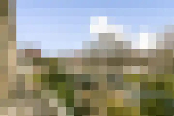 Zilkerduinweg 181 De Zilk thumbnail 17
