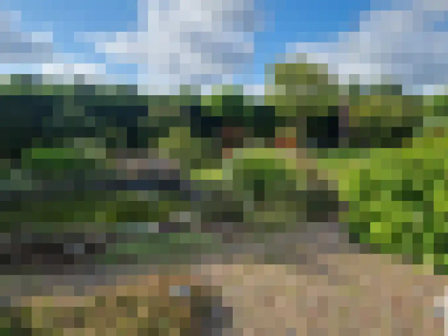 Zilkerduinweg 2 De Zilk thumbnail 27