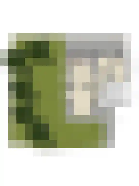 Zilkerduinweg 2 De Zilk thumbnail 36