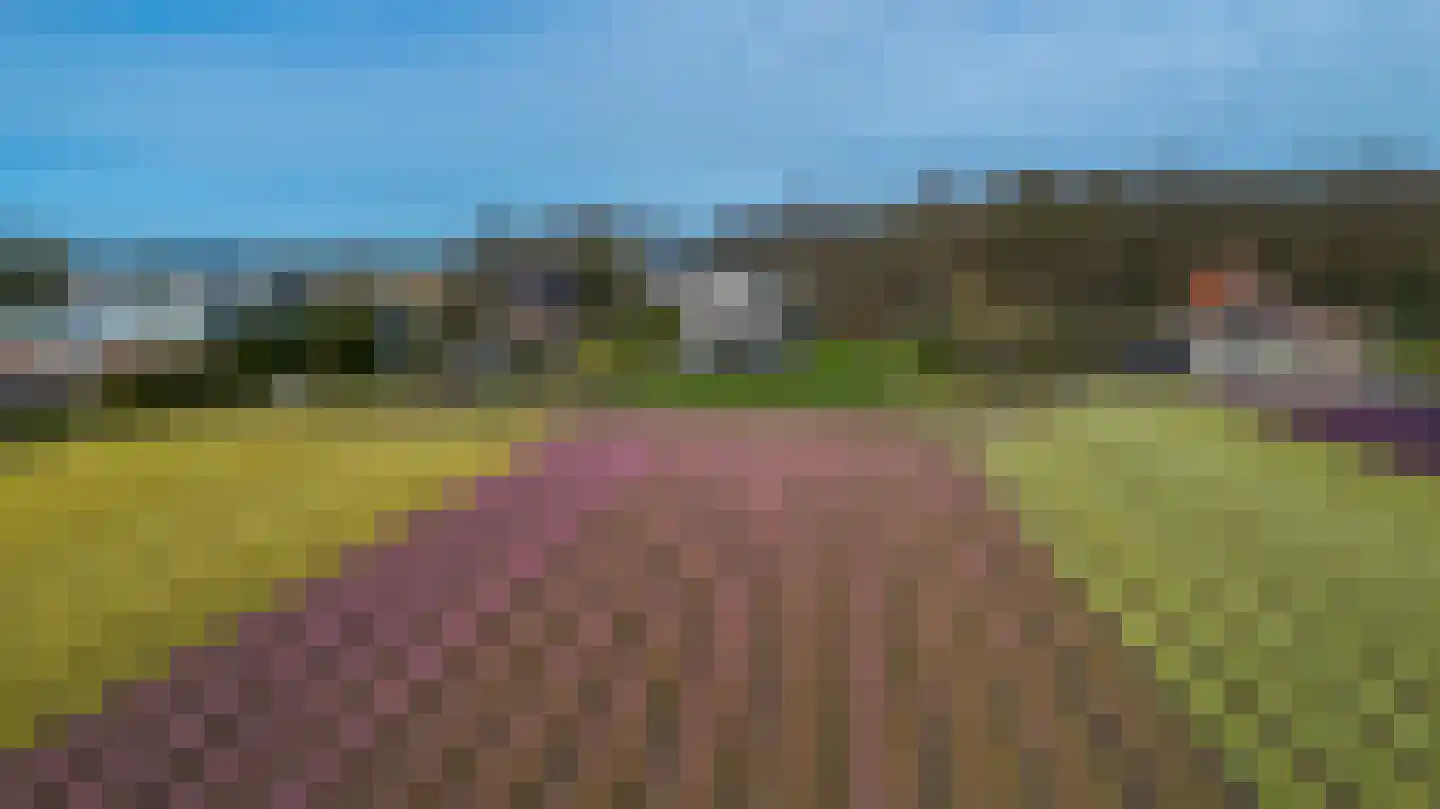 Zilkerduinweg 394 a Vogelenzang thumbnail 5
