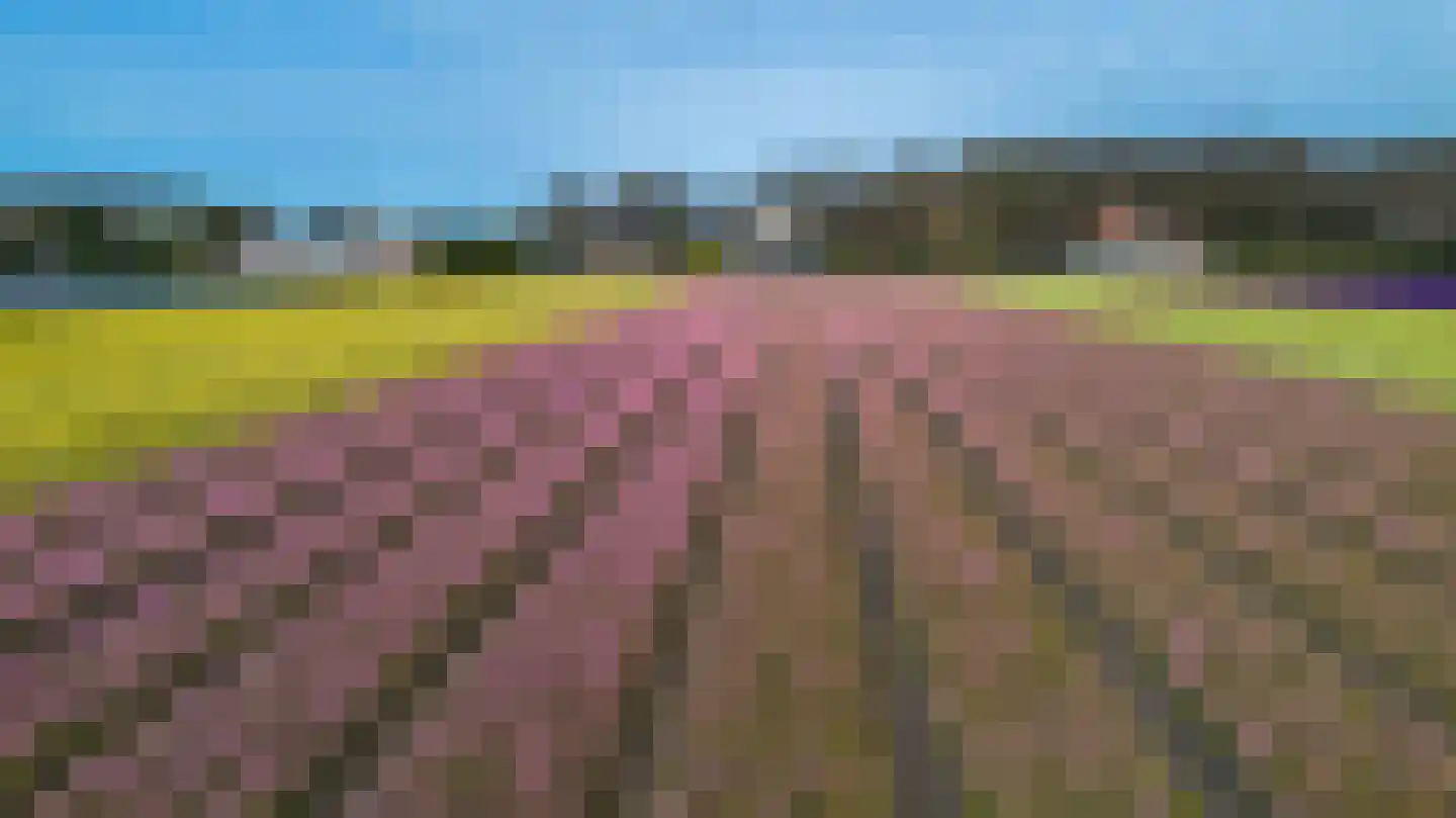 Zilkerduinweg 394 a Vogelenzang thumbnail 7
