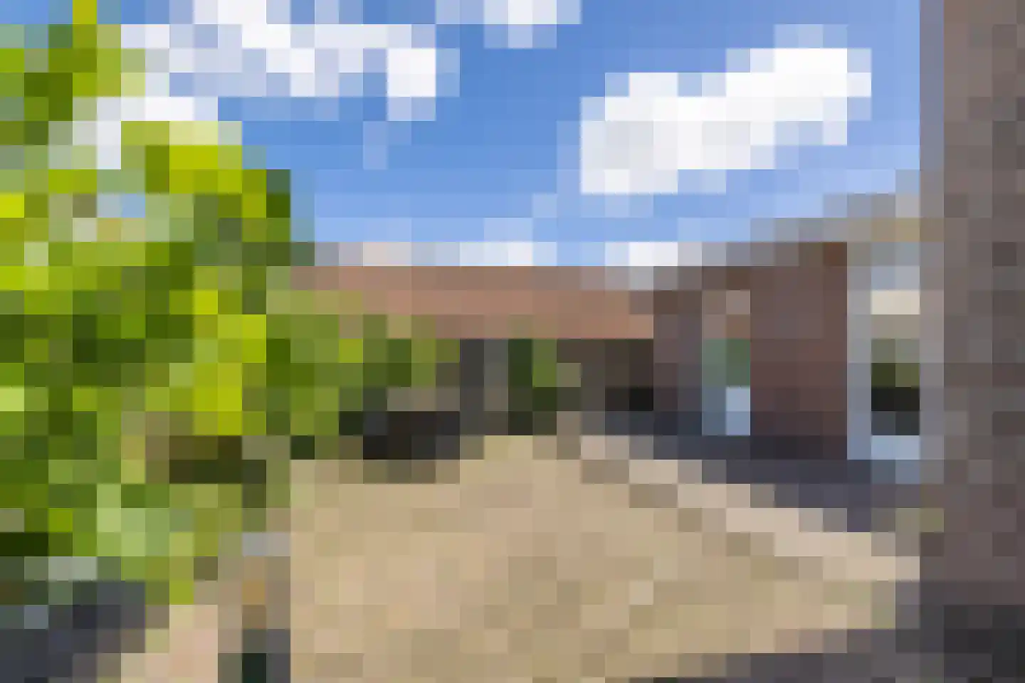 Zilkerduinweg 6 De Zilk thumbnail 42