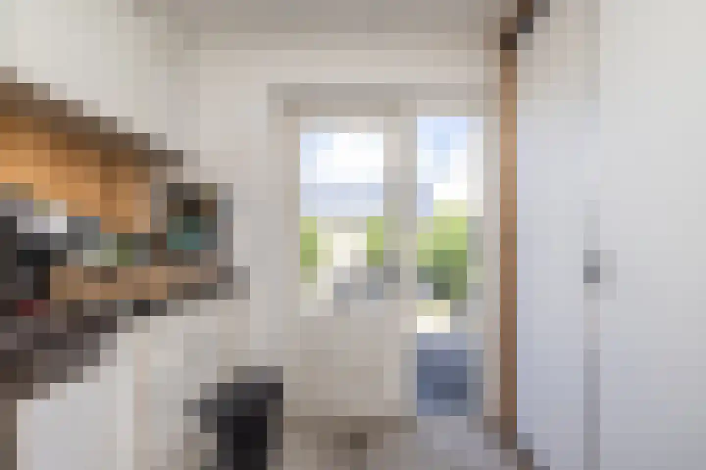 Zilkerduinweg 6 De Zilk thumbnail 44
