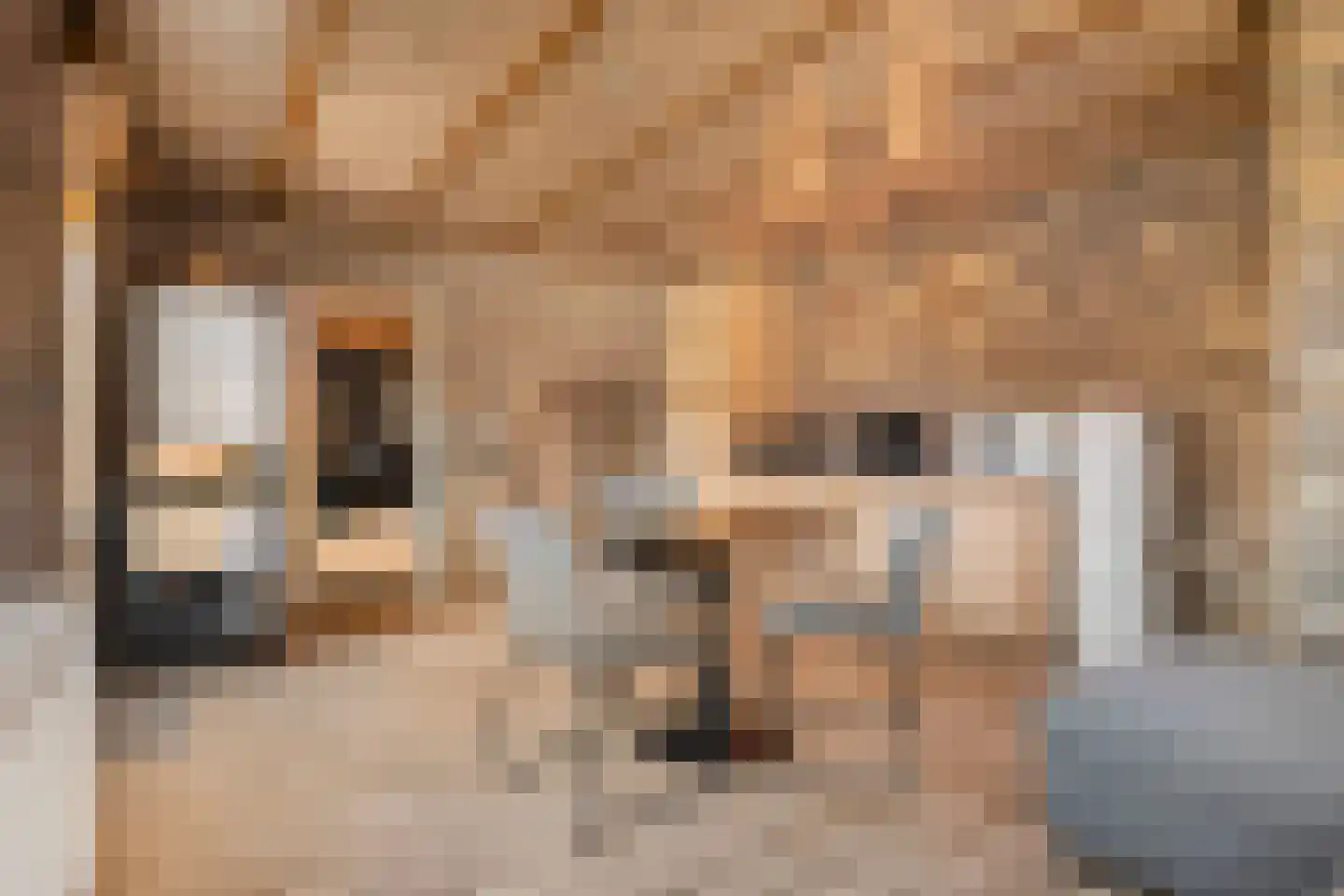 Zilstraat 10 Susteren thumbnail 29