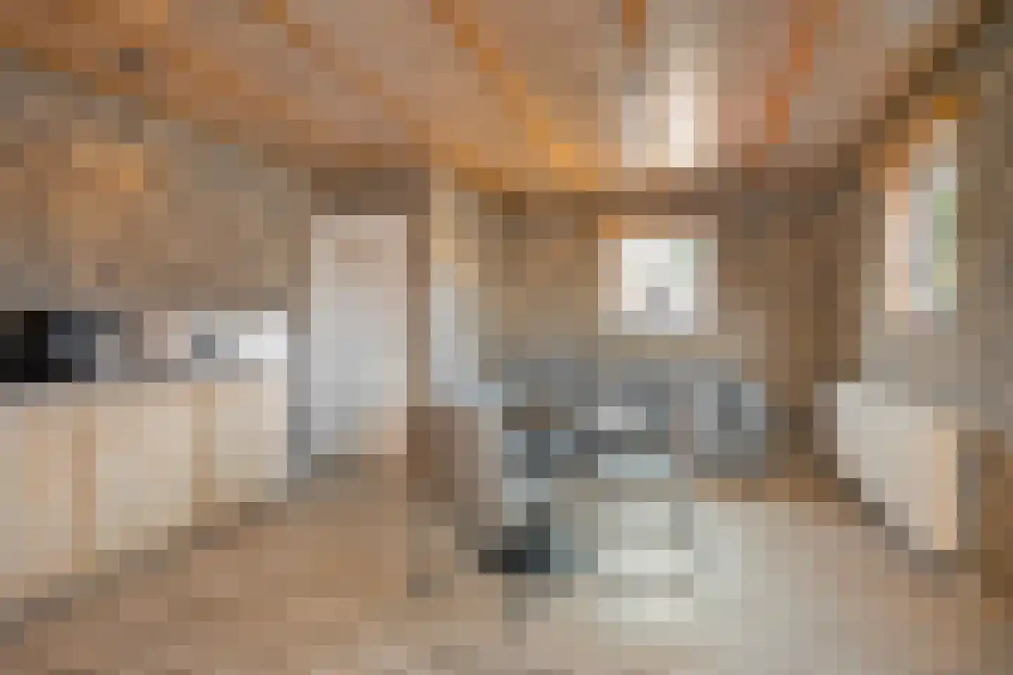 Zilstraat 10 Susteren thumbnail 30