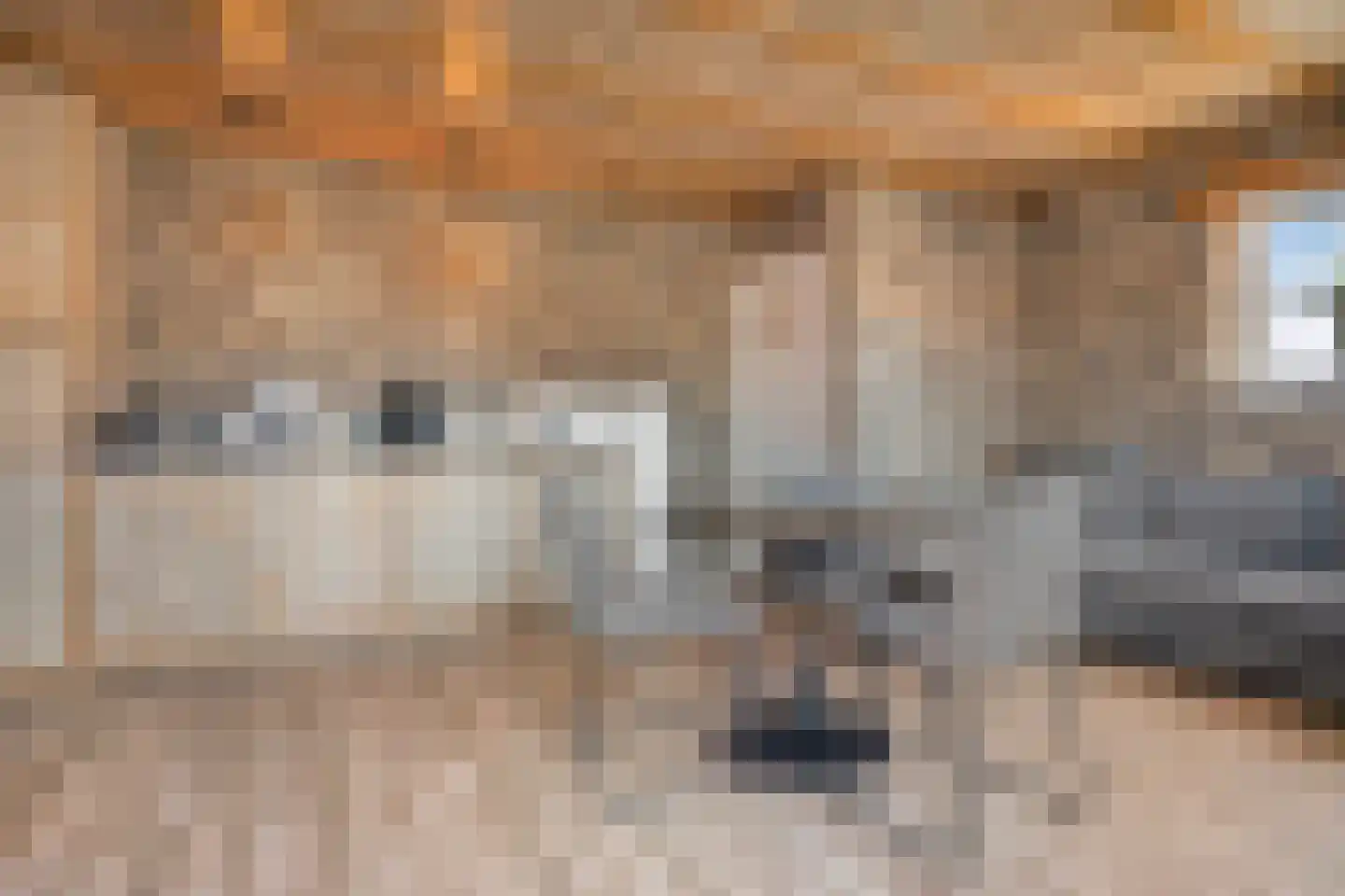 Zilstraat 10 Susteren thumbnail 6