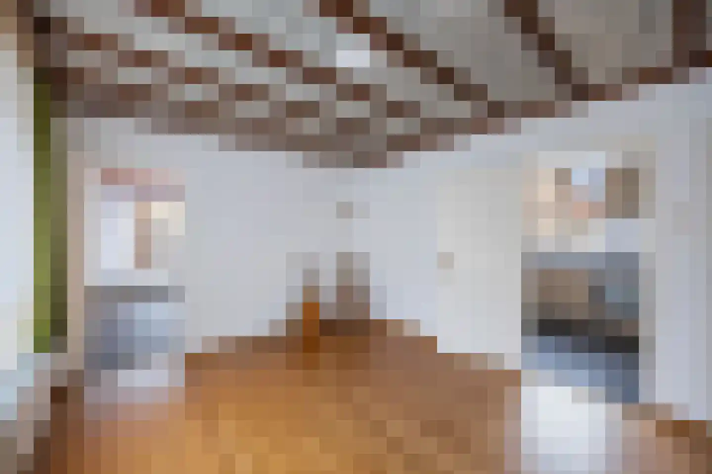 Zilstraat 24 Susteren thumbnail 18