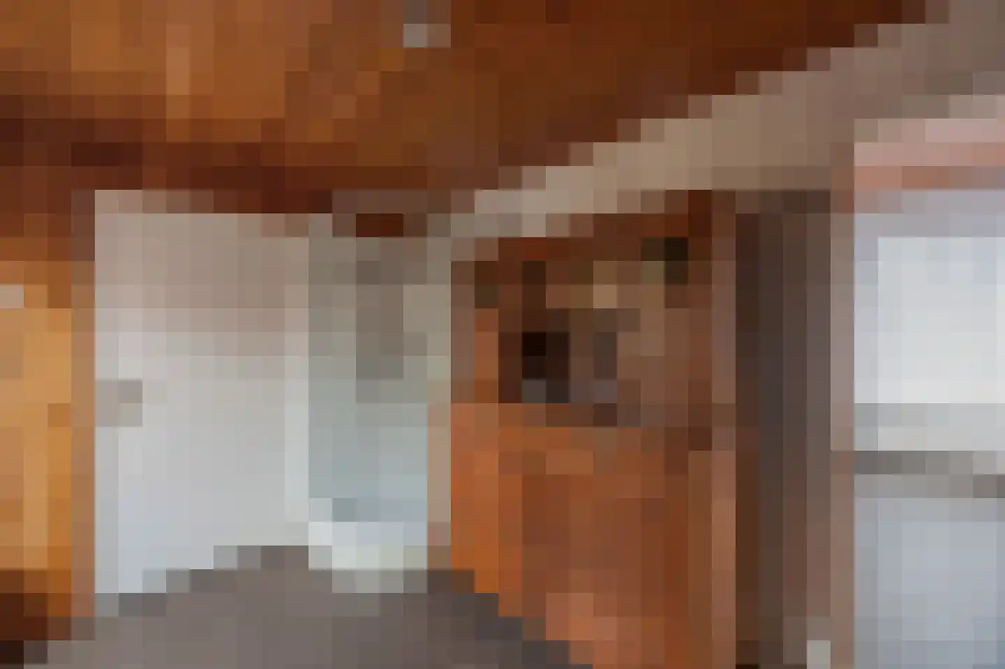 Zilstraat 24 Susteren thumbnail 26