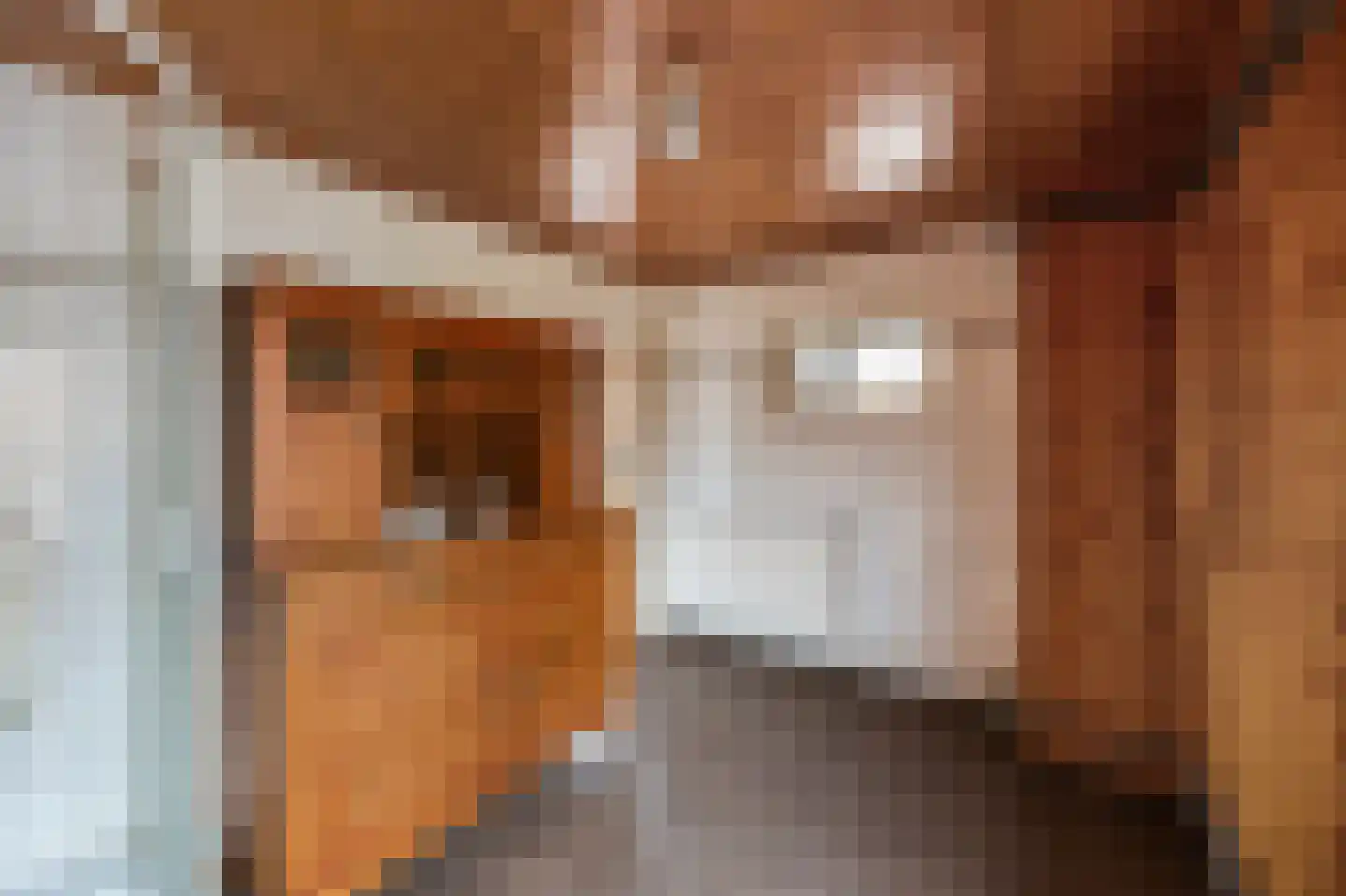 Zilstraat 24 Susteren thumbnail 27