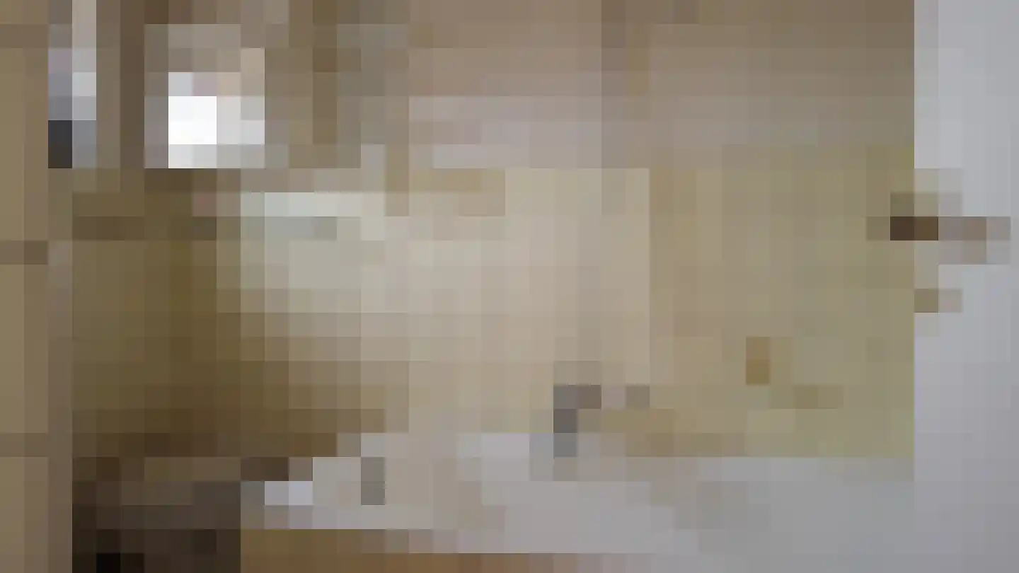 Zilstraat 24 Susteren thumbnail 34