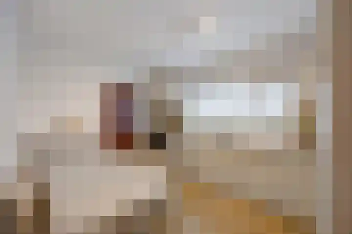 Zilstraat 57 Susteren thumbnail 24
