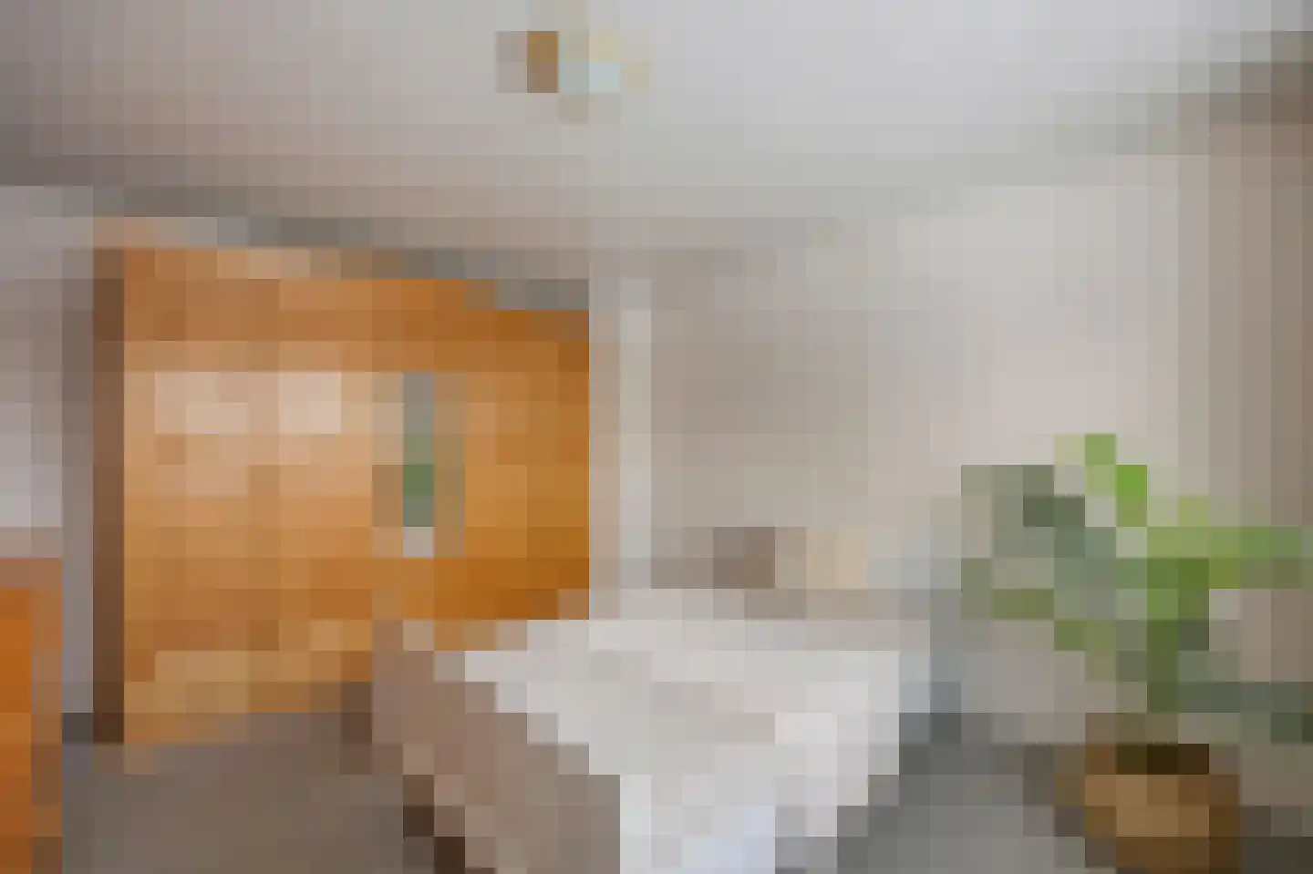 Zilstraat 57 Susteren thumbnail 28