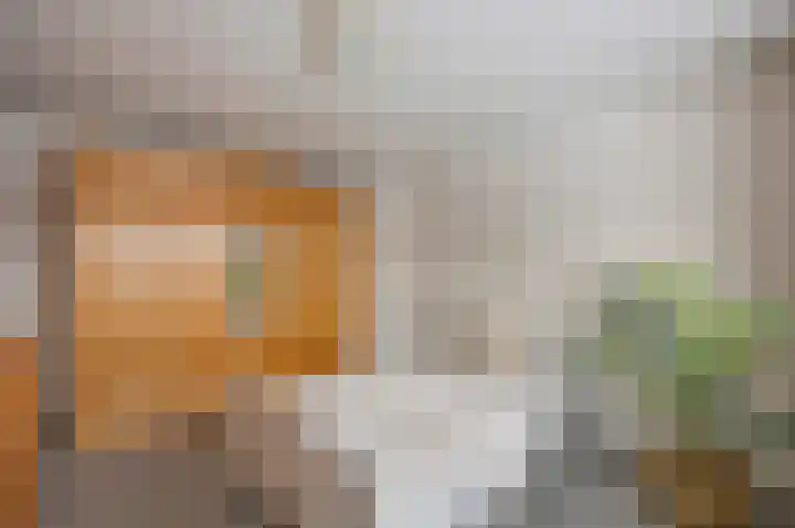 Zilstraat 57 Susteren thumbnail 28