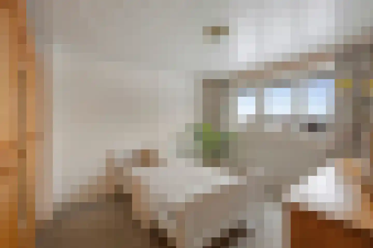 Zilstraat 57 Susteren thumbnail 29
