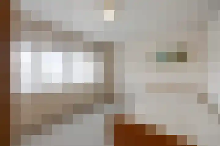 Zilstraat 57 Susteren thumbnail 30