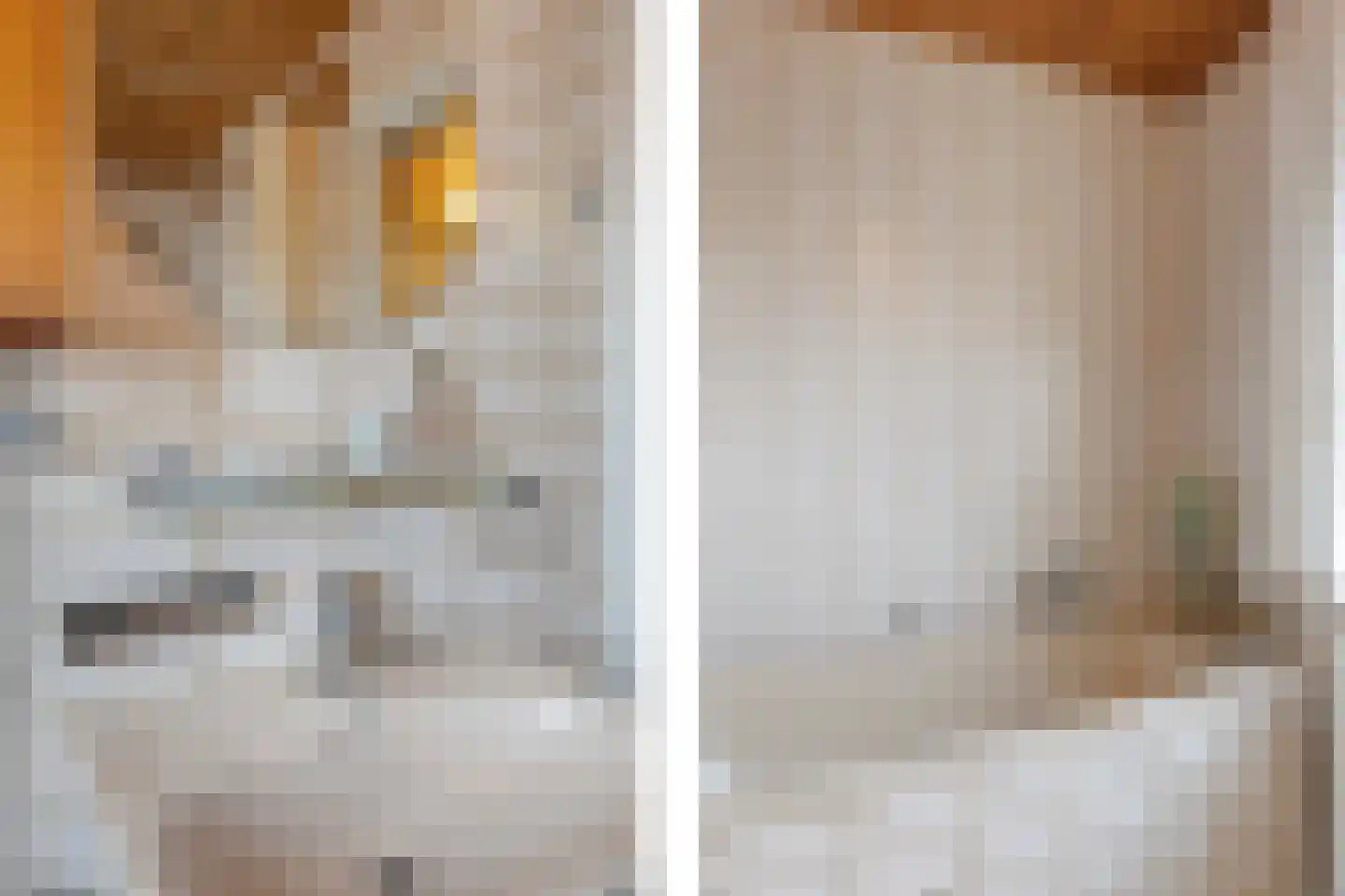 Zilstraat 57 Susteren thumbnail 33