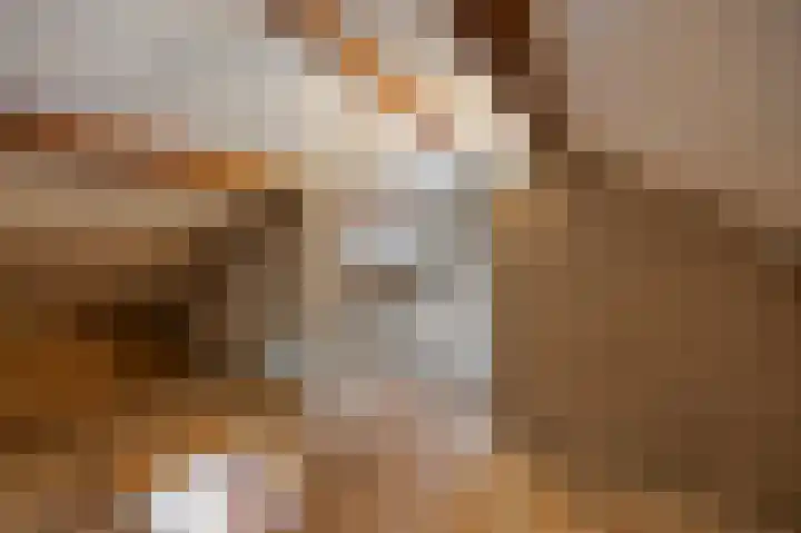 Zilstraat 57 Susteren thumbnail 38