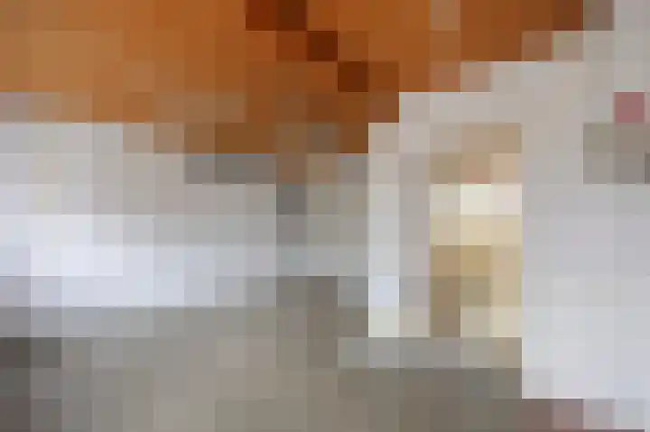 Zilstraat 57 Susteren thumbnail 40