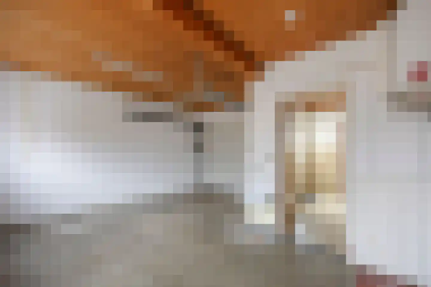 Zilstraat 57 Susteren thumbnail 40