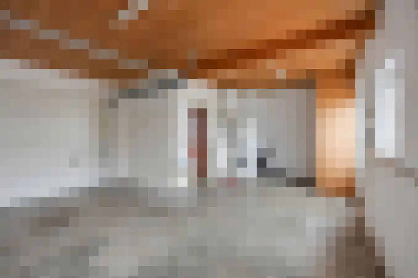 Zilstraat 57 Susteren thumbnail 41