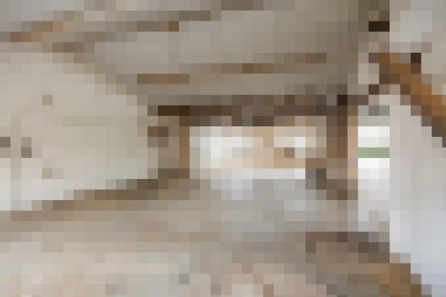 Zilstraat 57 Susteren thumbnail 45