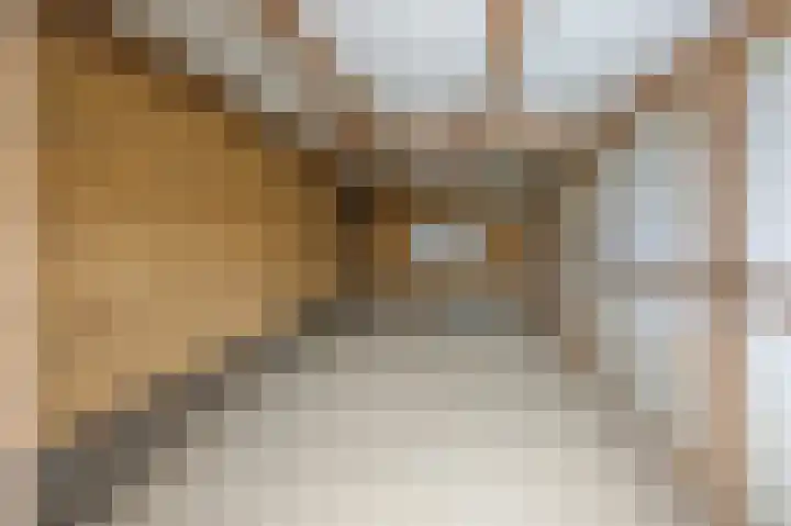 Zilstraat 57 Susteren thumbnail 47