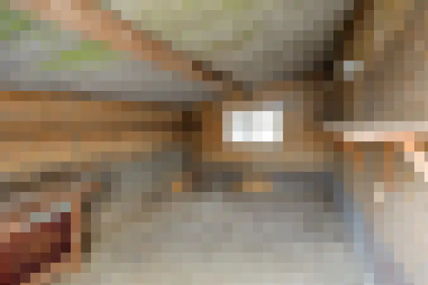 Zilstraat 57 Susteren thumbnail 48