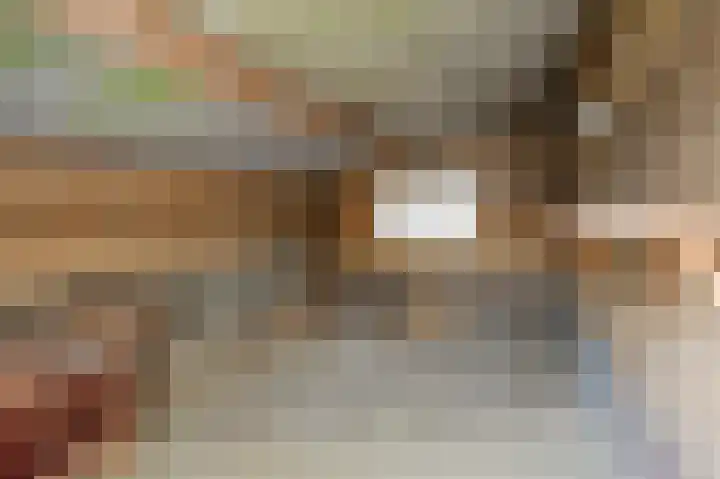 Zilstraat 57 Susteren thumbnail 48