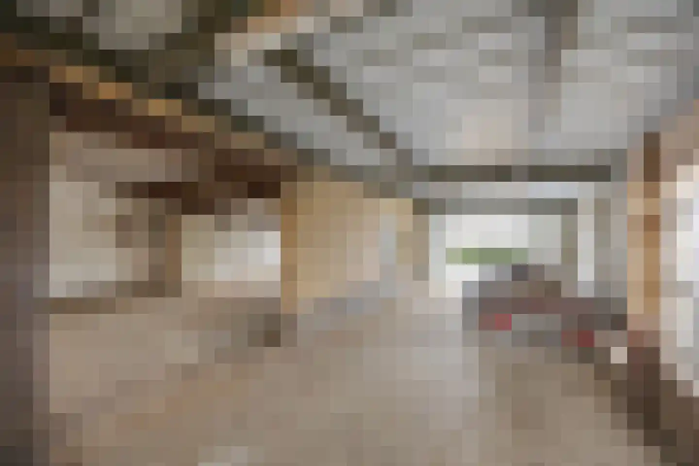 Zilstraat 57 Susteren thumbnail 50