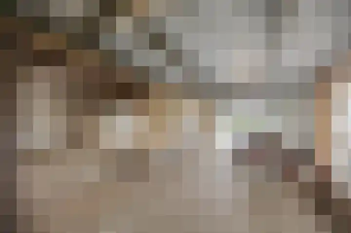 Zilstraat 57 Susteren thumbnail 50