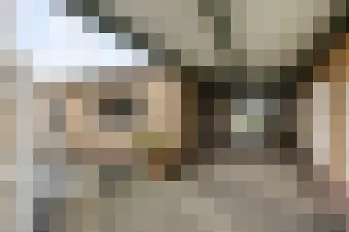 Zilstraat 57 Susteren thumbnail 51