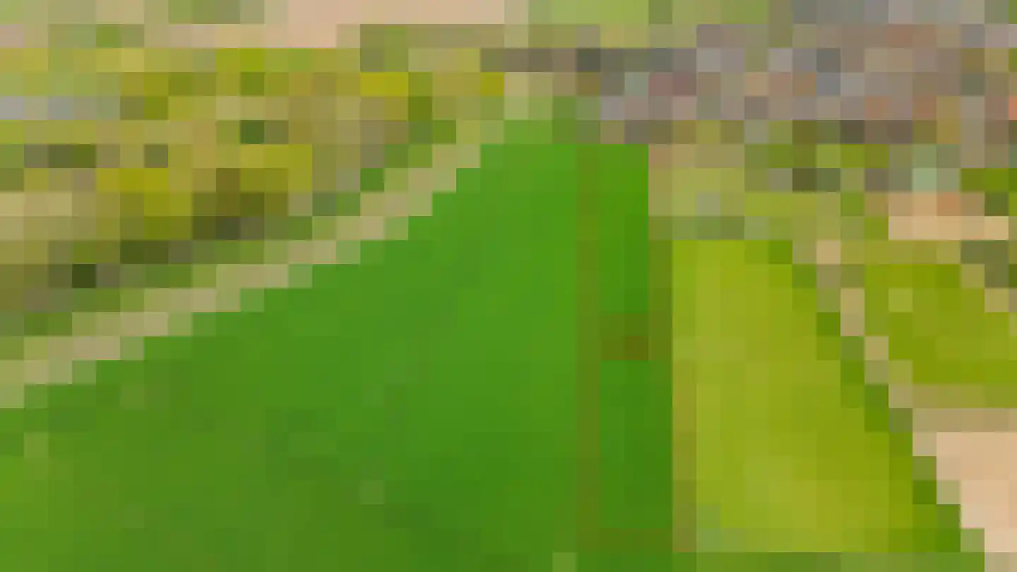 Zilstraat 57 Susteren thumbnail 55