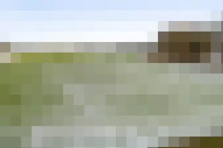 Zilstraat 57 Susteren thumbnail 55