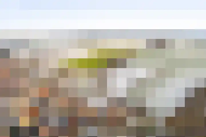 Zilstraat 57 Susteren thumbnail 57