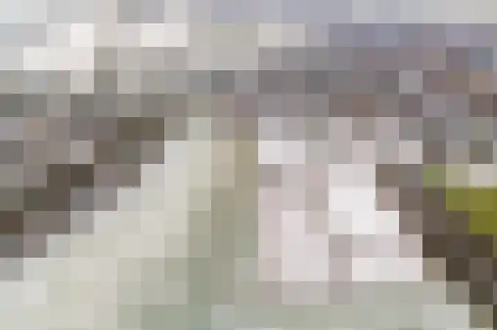 Zilstraat 57 Susteren thumbnail 58