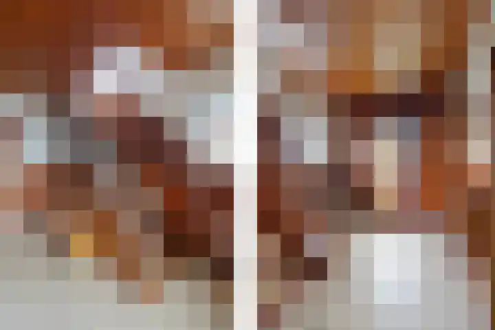 Zilstraat 57 Susteren thumbnail 8
