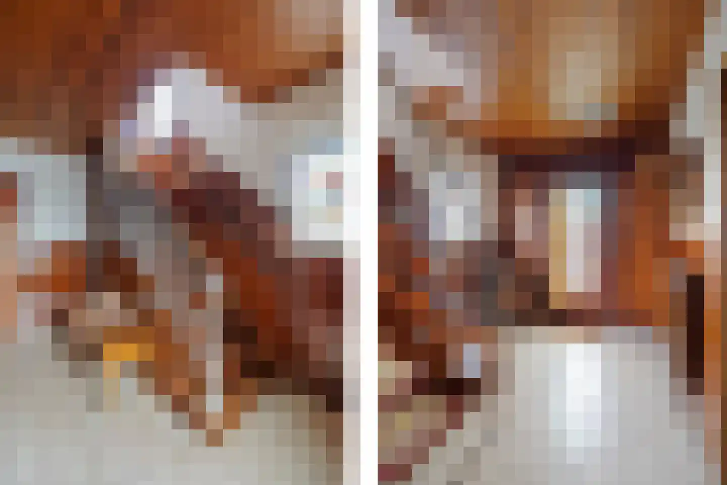 Zilstraat 57 Susteren thumbnail 8