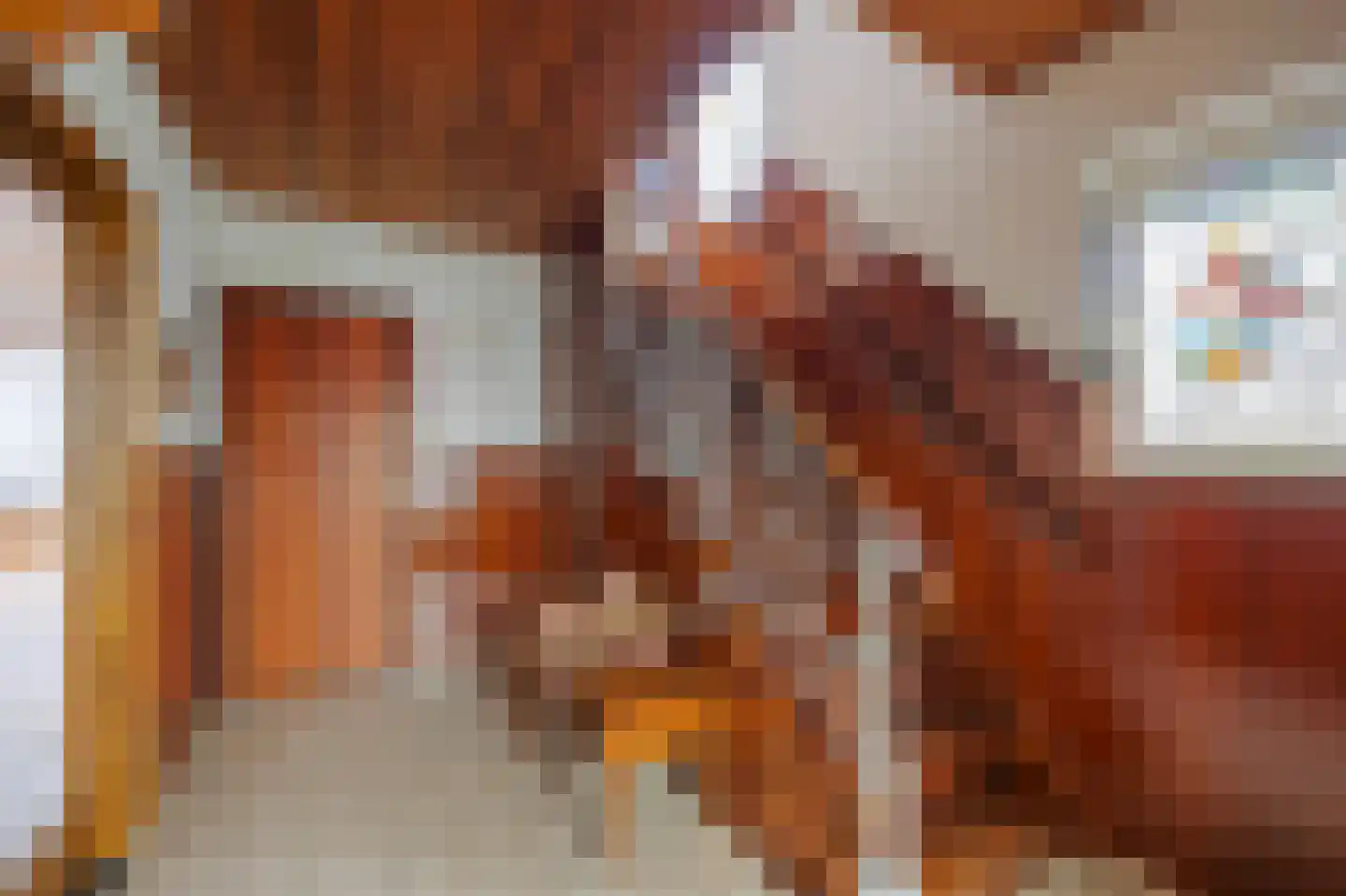 Zilstraat 57 Susteren thumbnail 9