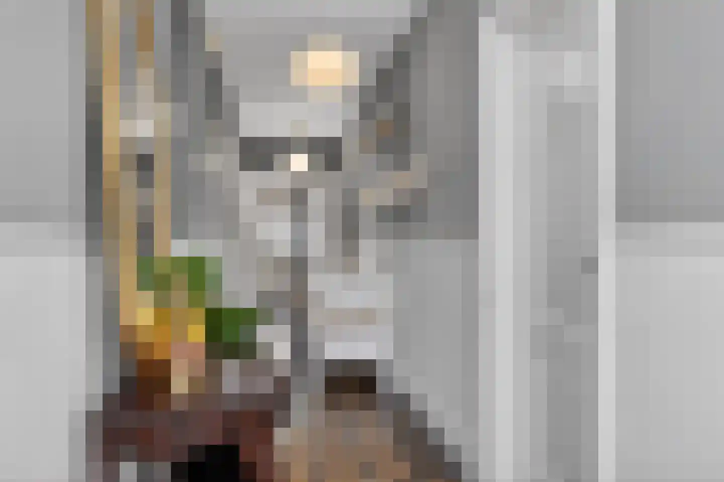 Zilverakkerweg 1 Dieren thumbnail 10