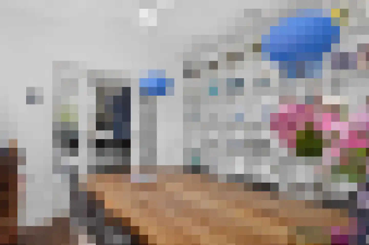 Zilverakkerweg 1 Dieren thumbnail 15