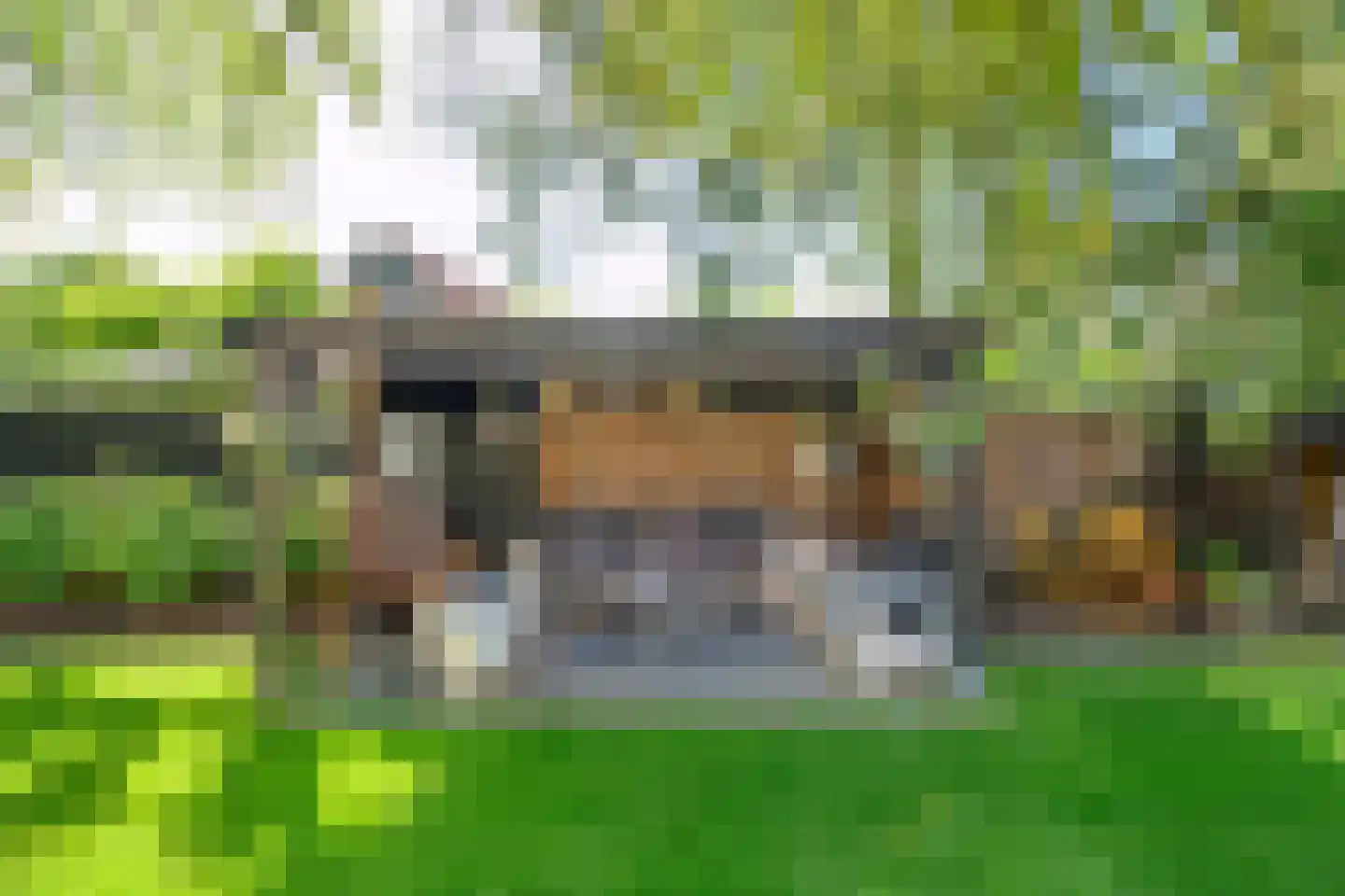 Zilverakkerweg 1 Dieren thumbnail 30