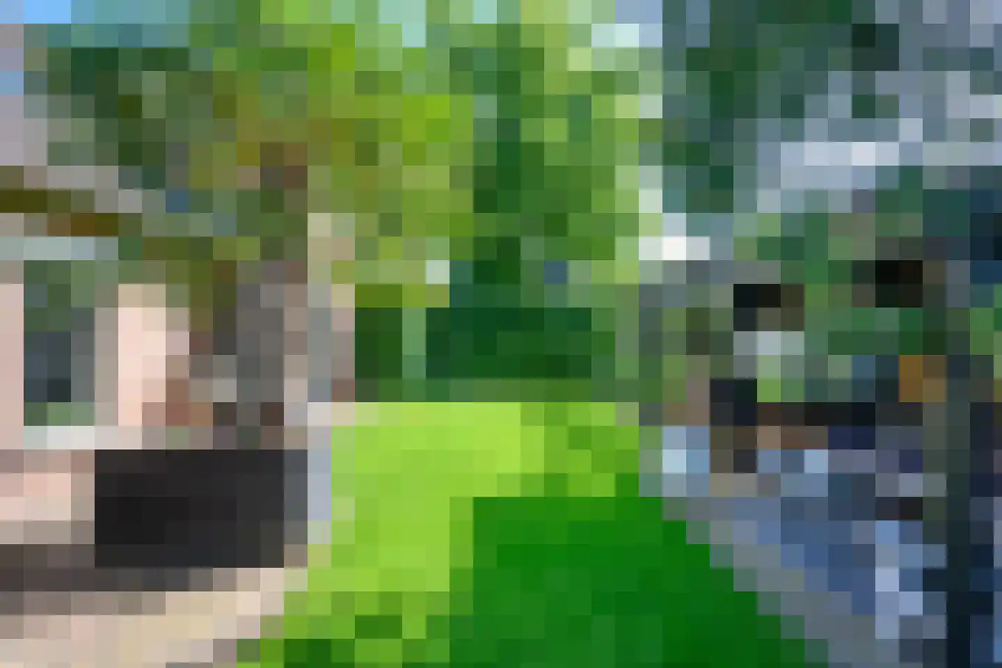 Zilverakkerweg 1 Dieren thumbnail 31