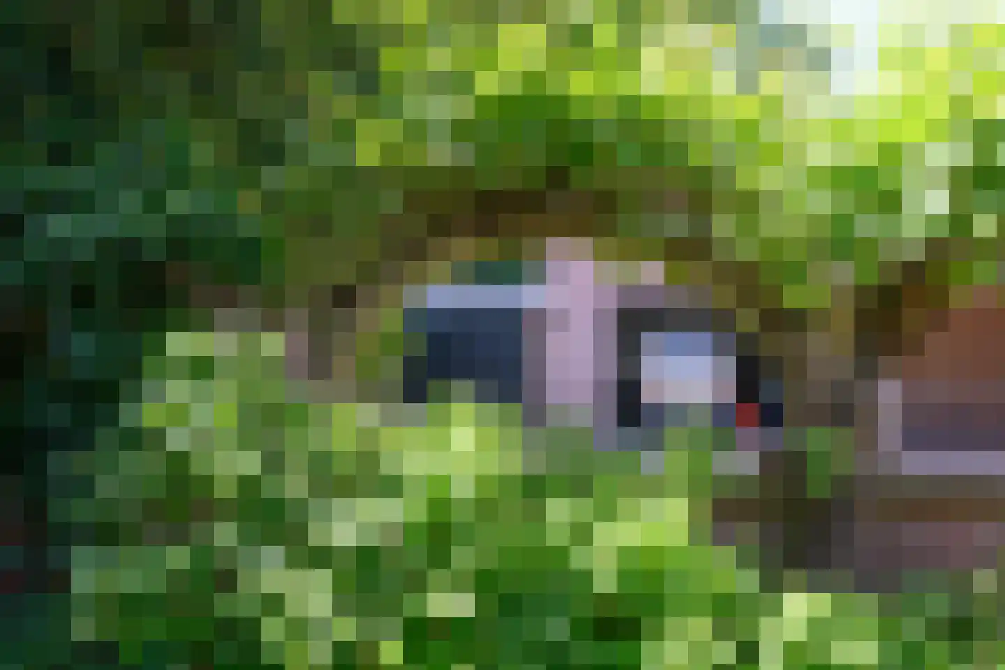 Zilverakkerweg 1 Dieren thumbnail 38