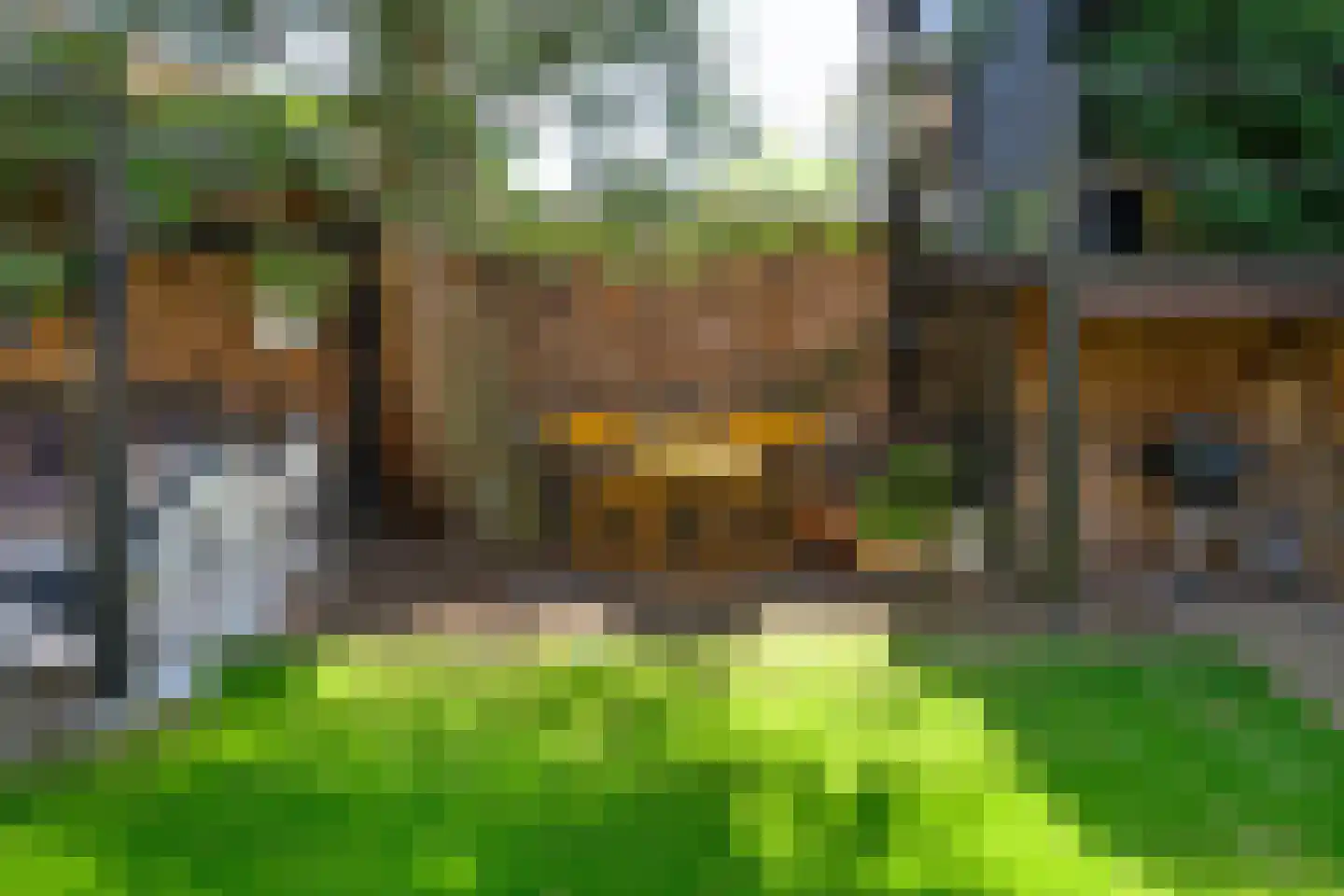 Zilverakkerweg 1 Dieren thumbnail 49