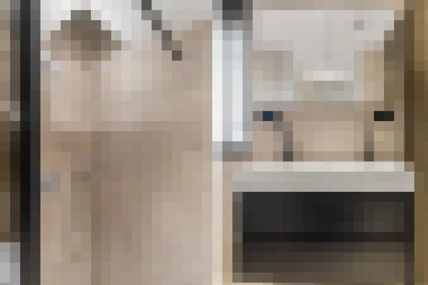 Zilverakkerweg 14 Dieren thumbnail 12