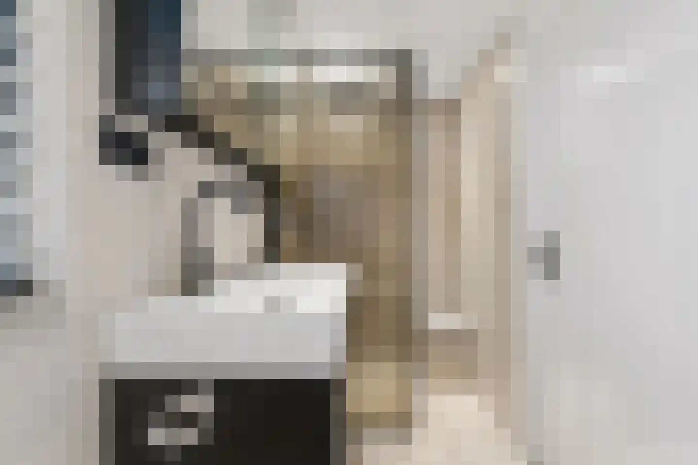 Zilverakkerweg 14 Dieren thumbnail 13