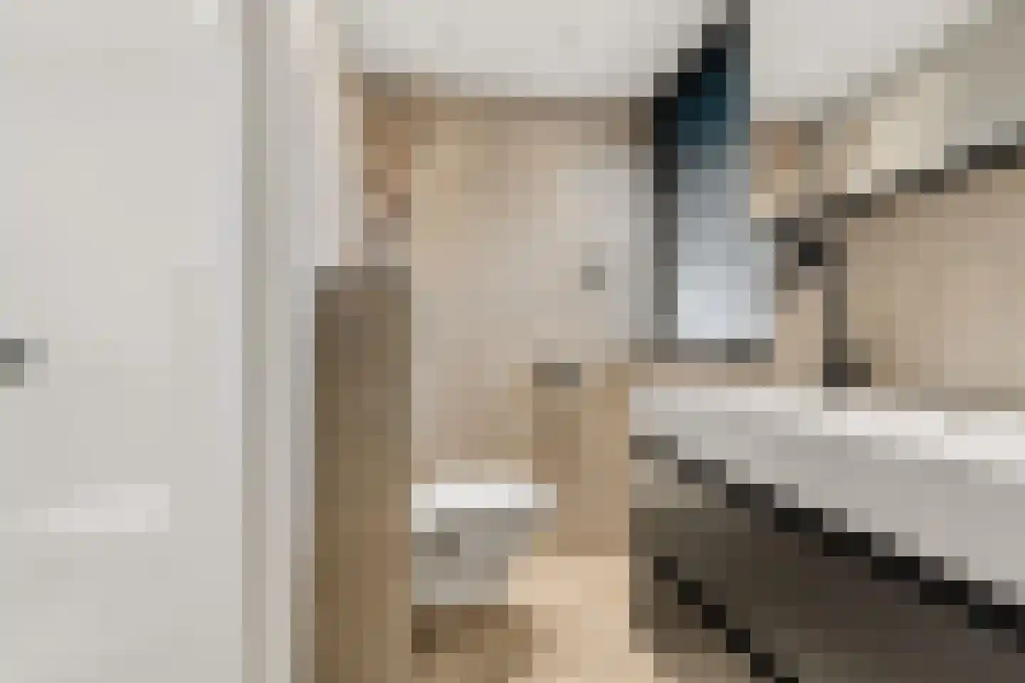 Zilverakkerweg 14 Dieren thumbnail 14