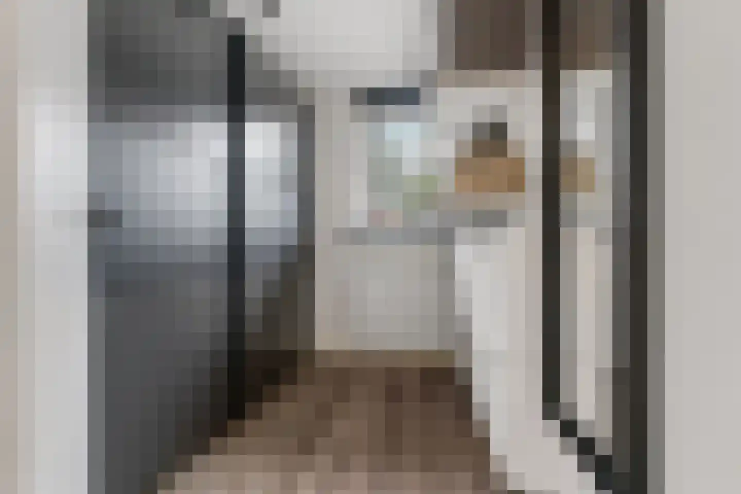 Zilverakkerweg 14 Dieren thumbnail 19
