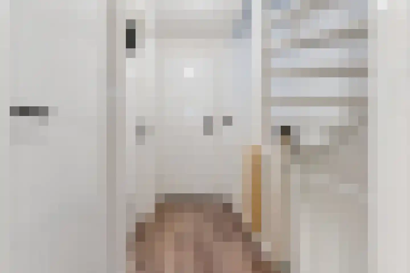 Zilverakkerweg 14 Dieren thumbnail 20