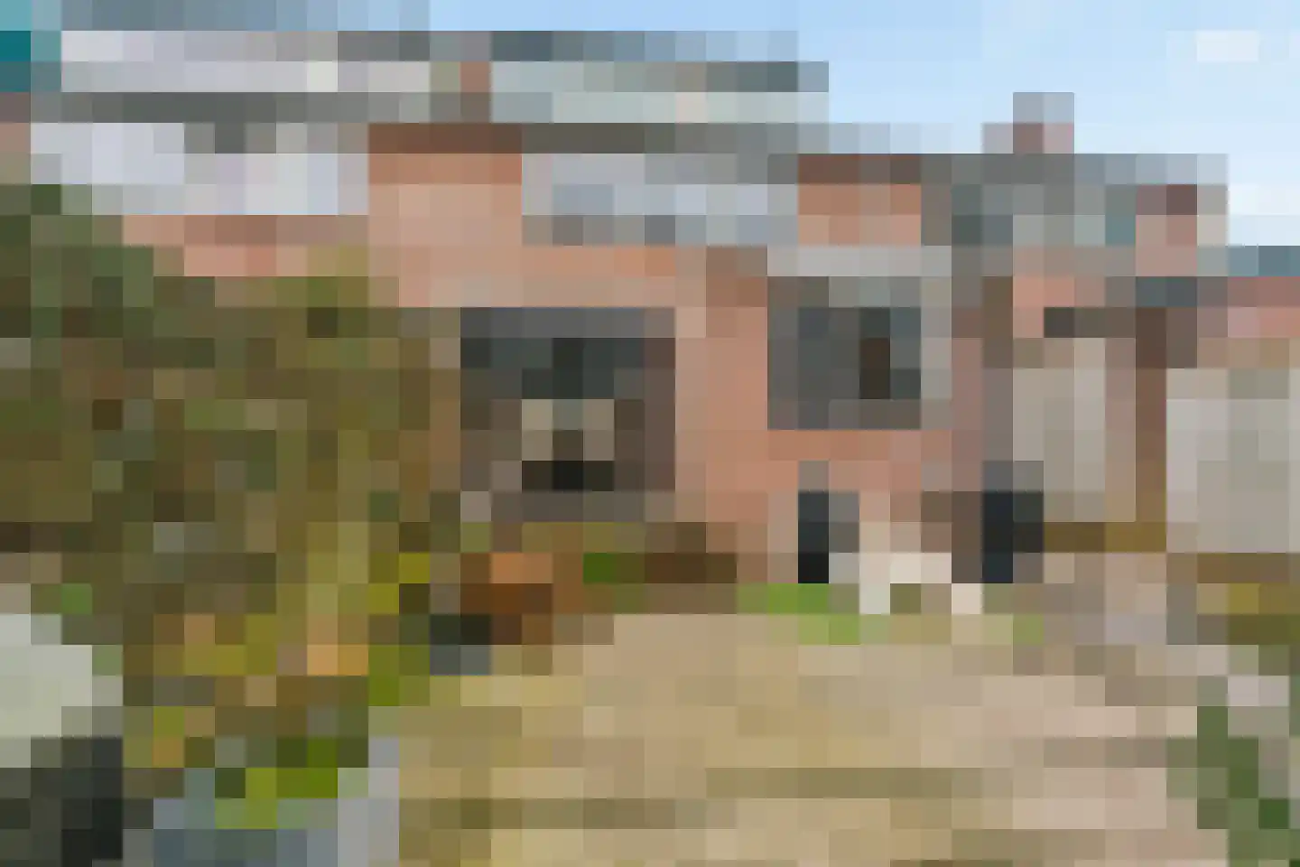 Zilverakkerweg 14 Dieren thumbnail 25